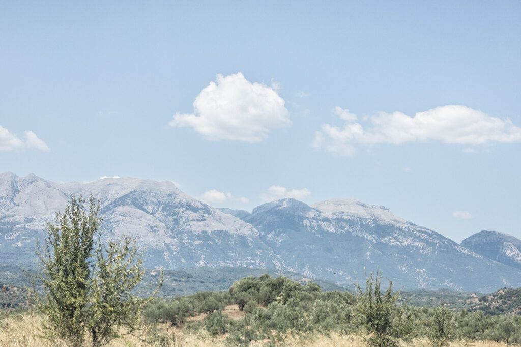 Insights Greece - Exploring Mount Tagyetos in the Peloponnese