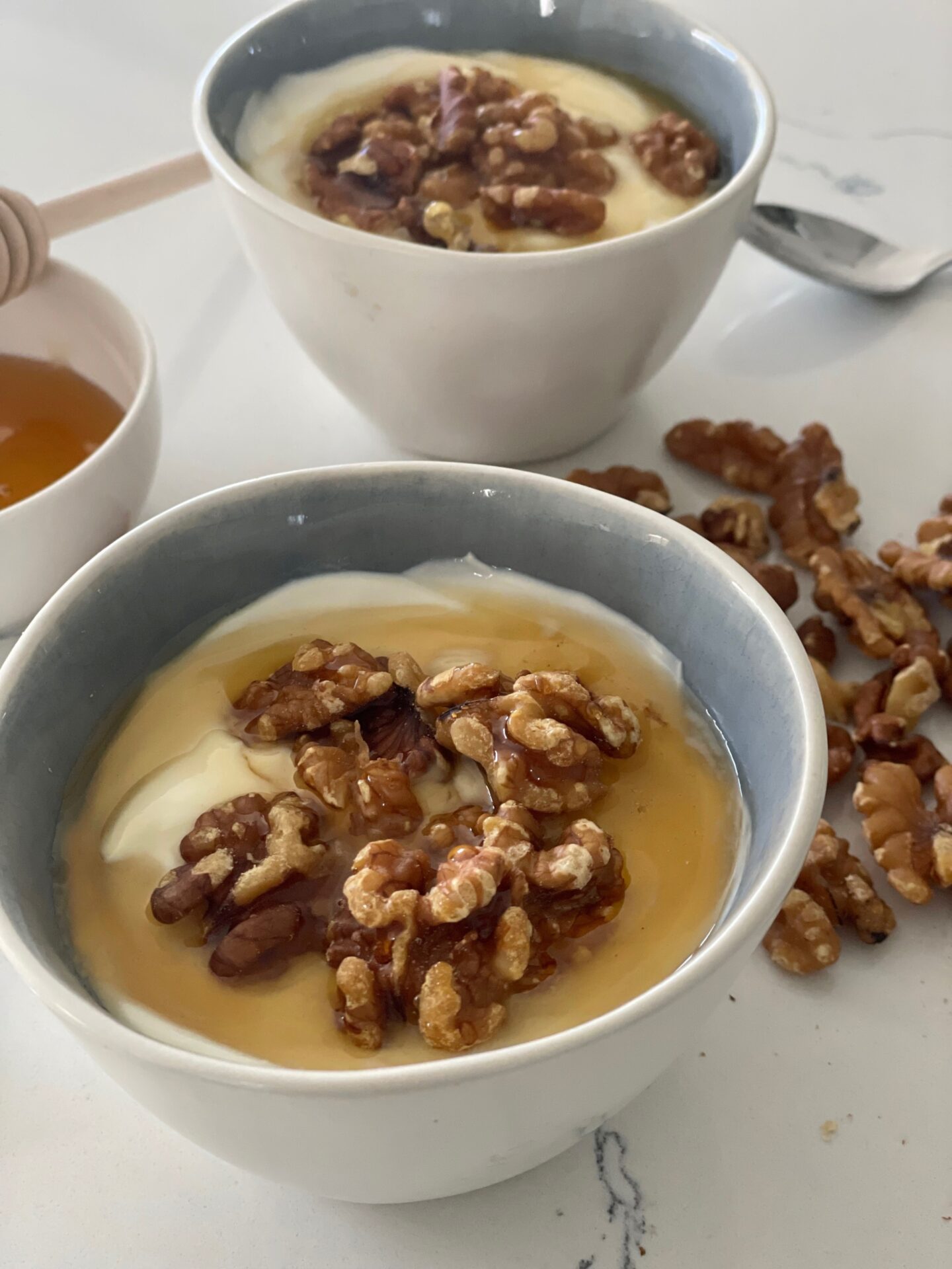 Insights Greece - Benefits of Greek Yogurt With Walnuts and Honey 
