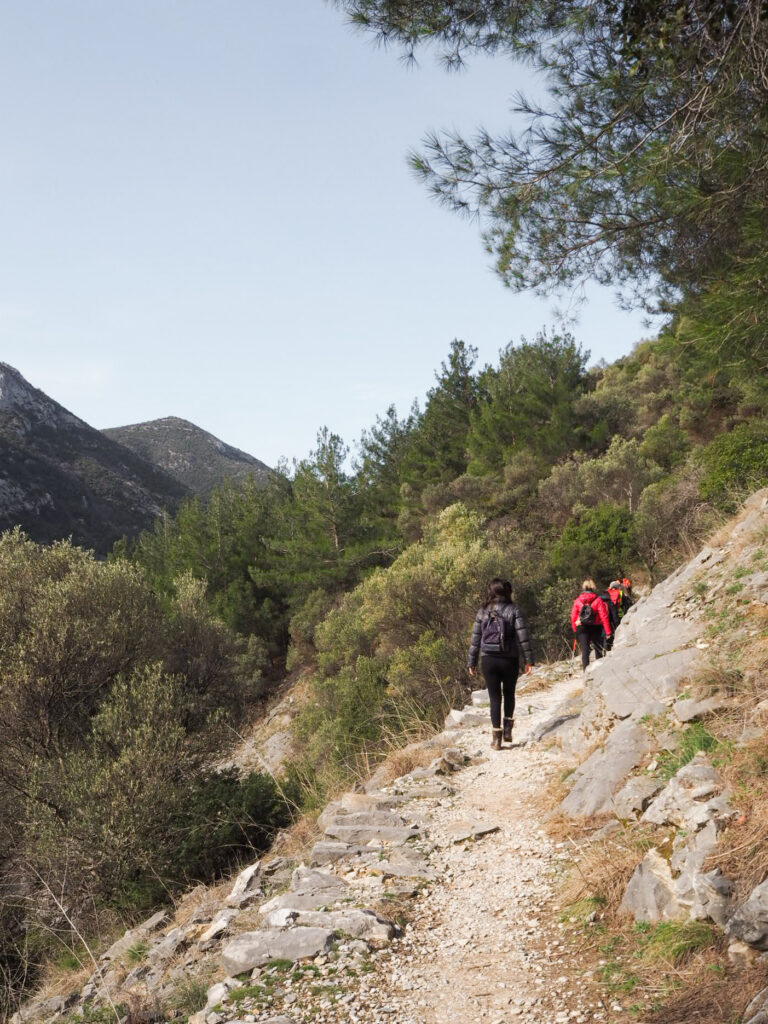 Insights Greece - A Guided Trek Tour Through Nestos Gorge
